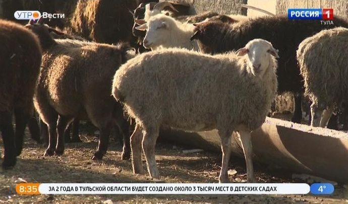 Тульским фермерам помогут со страховкой