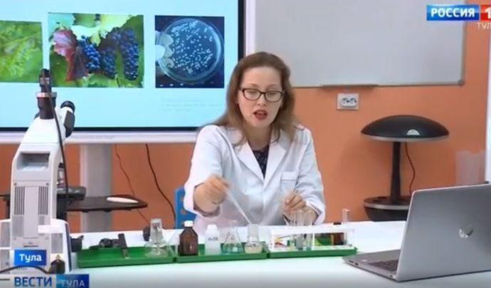 Коронавирус проверит готовность тульских школ учить дистанционно