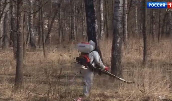 В Туле начали травить клещей