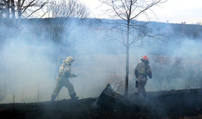 Пожар в лесу, пал травы