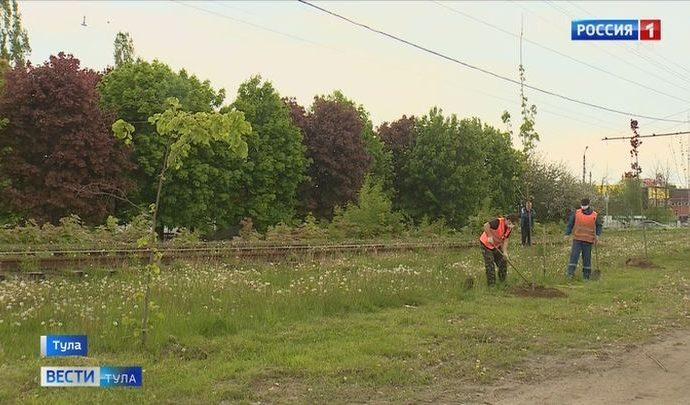 В Туле продолжаются работы по весенней посадке деревьев