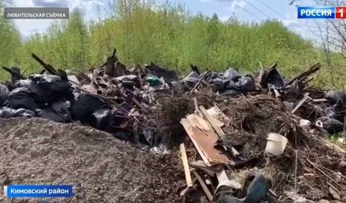 Экологи сообщили о трёх нелегальных свалках в Кимовске