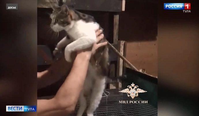 В деле кота-наркокурьера поставлена точка