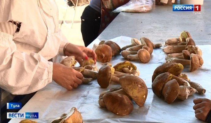 Туляки открыли сезон тихой охоты
