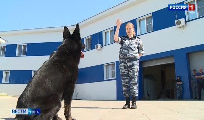 Для тульских кинологов и их собак нет задач не по зубам
