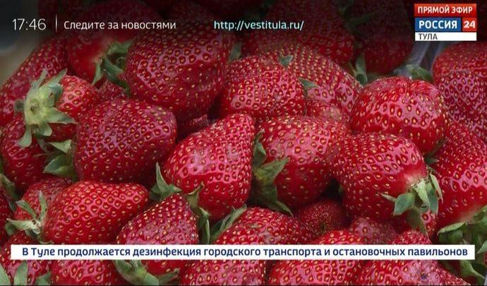Россия 24 Тула. Эфир от 16.06.2020