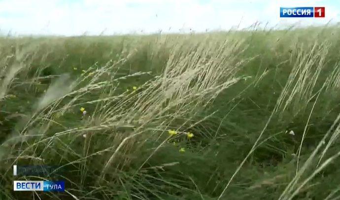 На Куликовом поле реставрируют повреждённую человеком природу