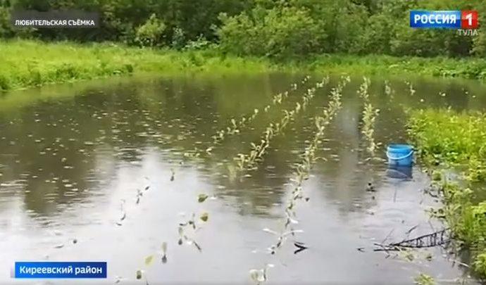 В селе Дедилово после града затопило огороды