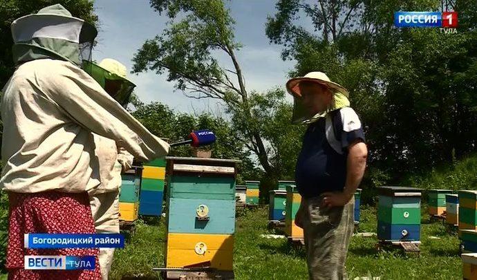 Вести Тула. Эфир от 18.06.2020