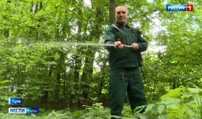 В Тульской области не дали зайти пожару в лес