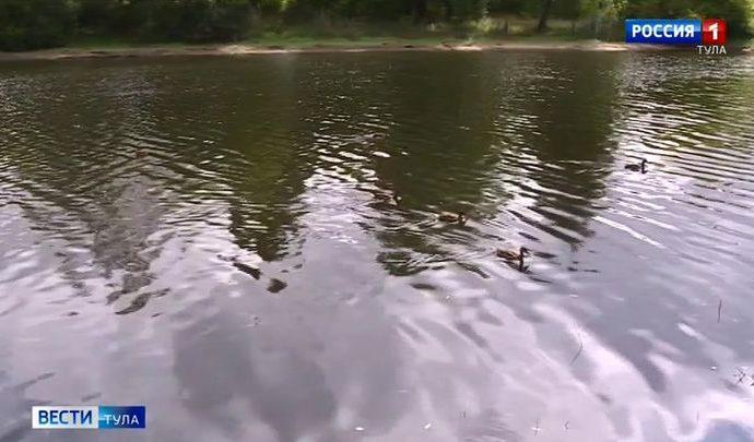 В ясногорском пруду утонул юноша