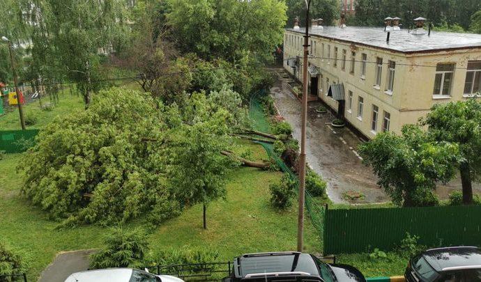Городские службы приступили к ликвидации последствий стихии