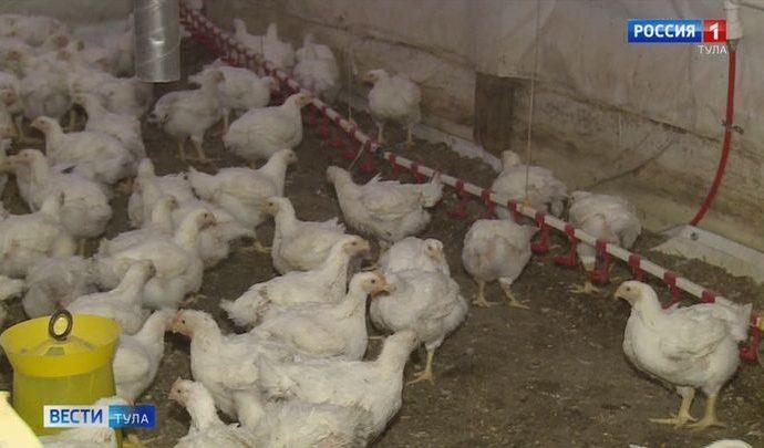 Несколько агропредприятий Тульской области привлекли к ответу за эко-нарушения