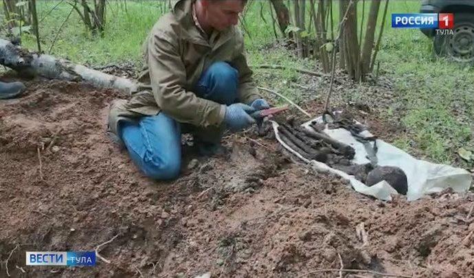 Щёкинские поисковики обнаружили останки воинов Великой Отечественной