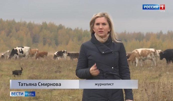 Программа ГТРК «Тула» победила во всероссийском конкурсе «Смарт. Эволюция»