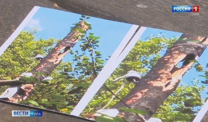 В садоводческом хозяйстве «Прогресс» появился столб раздора
