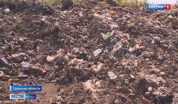 Правительство России выделило деньги на ликвидацию свалок в Тульской области