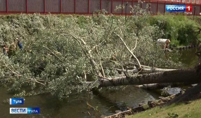 Алексей Дюмин поручил быстрее убирать поваленные деревья
