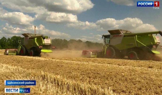 Щёкинские аграрии намолотили почти 100 тыс. тонн зерна