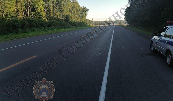 На трассе под Тулой насмерть сбит пешеход