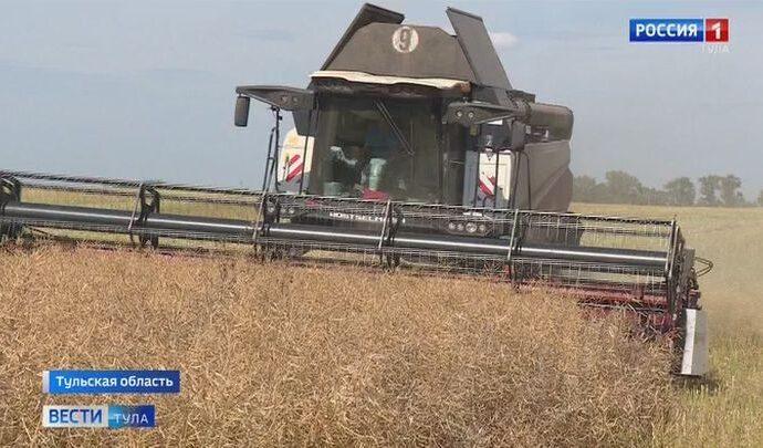 У тульских аграриев новый рекорд
