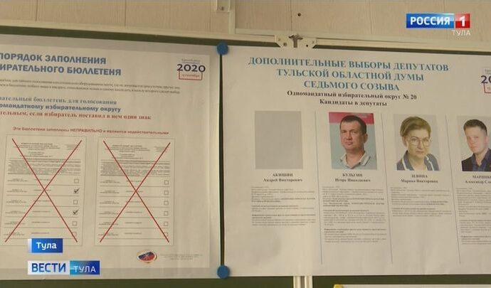 Контроль за ходом голосования в Тульской области обеспечивали более 500 наблюдателей