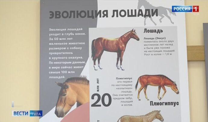 Новая выставка в Монастырщине расскажет об истории дружбы человека и лошади