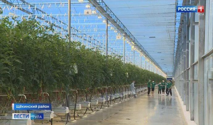 В Щёкинском районе начинается строительство второй очереди тепличного комплекса