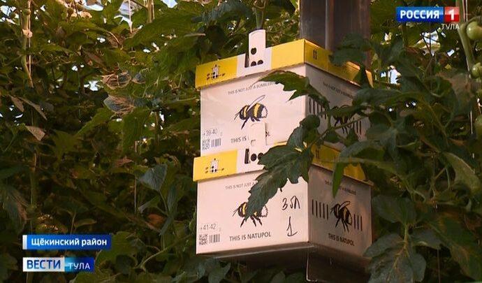 Областные депутаты в Щёкинском районе попали в лето