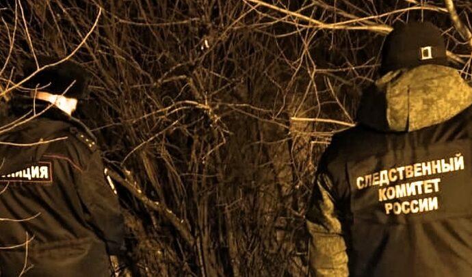 В овраге под Богородицком нашли тело женщины