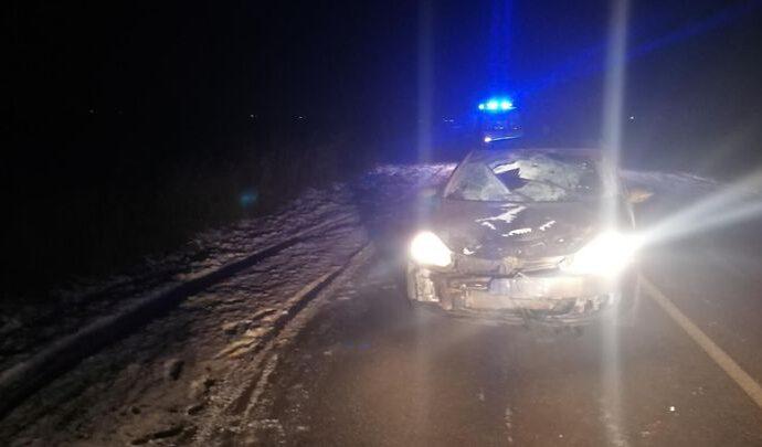 В Киреевском районе на дороге погиб пешеход