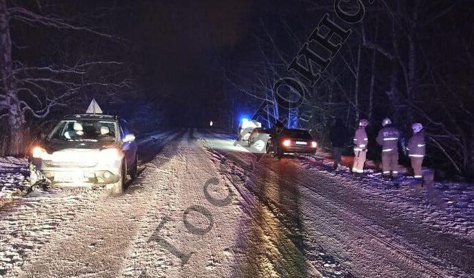 В Киреевском районе лежащий на дороге мужчина погиб под колёсами