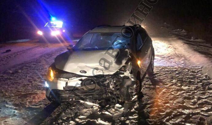 В Суворовском районе два человека пострадали в ДТП, которое устроил лось