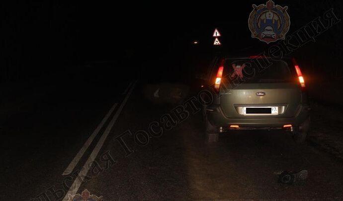 В Новомосковске на дороге погиб пешеход