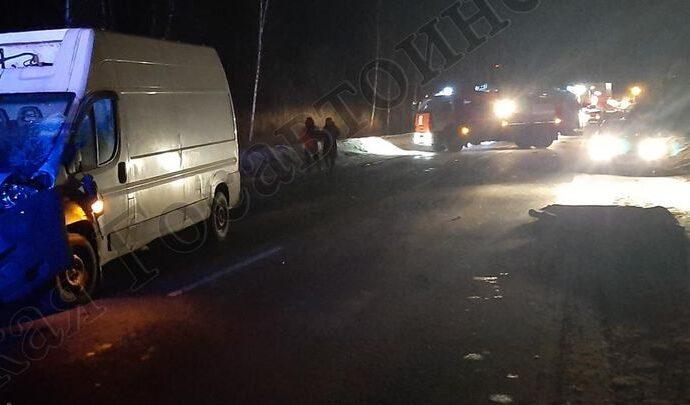 В Алексинском районе на дороге погиб пешеход