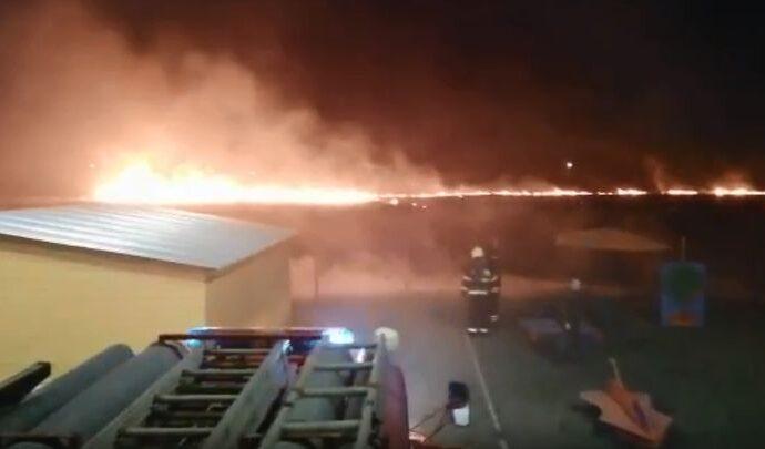 В Новомосковске из-за пала травы чуть не сгорел детский сад