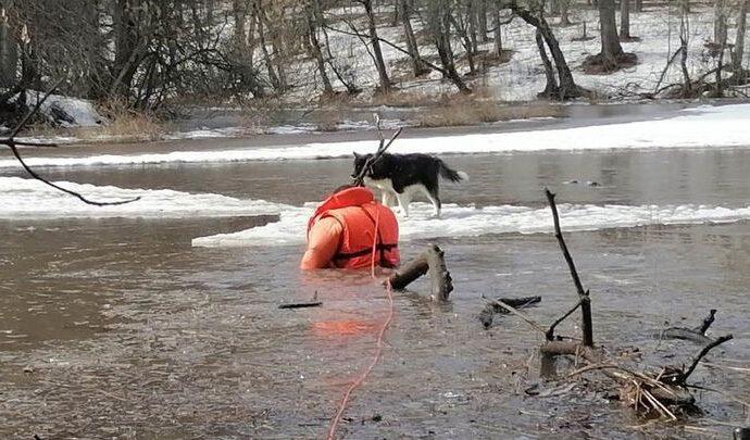 Ефремовские спасатели вызволили из беды друга человека