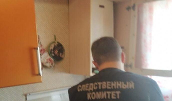 В Богородицке женщина с ребёнком насмерть отравились угарным газом