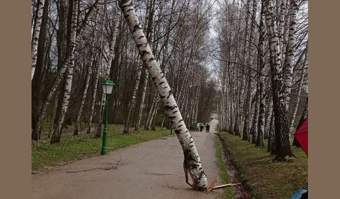 В Ясной Поляне разгулялся ураган