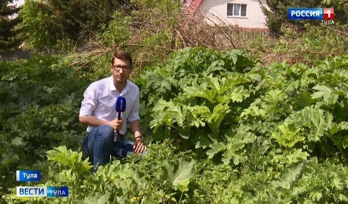 Вести Тула. Эфир от 20.05.2021