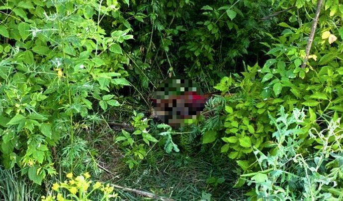 В Кимовске мужчина убил сожительницу, завернул в ковёр и отнёс к мусорным контейнерам