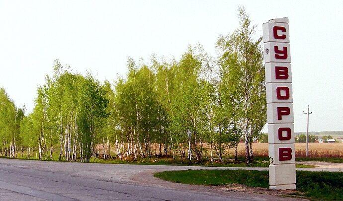 Снесенную по ошибке стелу на въезде в Суворовский район восстановят