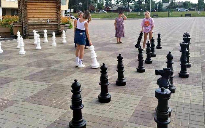 Стрит-шахматы в Ефремове