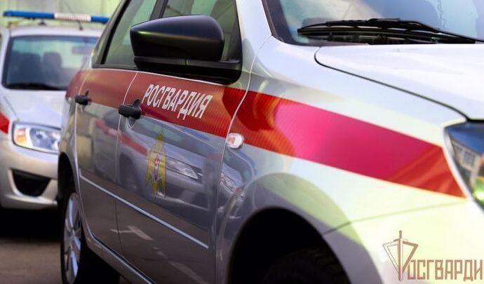 В Туле пьяный водитель попытался скрыться от росгвардейцев во дворах