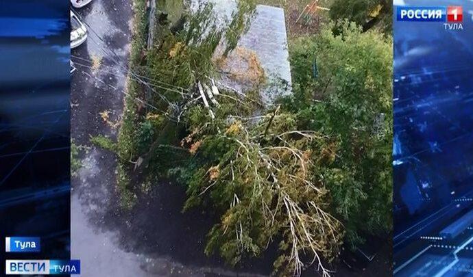 В пяти тульских муниципалитетах ветер повалил деревья