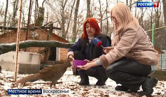 Вести Тула. Местное время. Воскресенье. 05.12.2021 Вести Тула. Местное время. Воскресенье. 05.12.2021