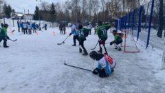 В Туле состоялся необычный турнир по старорусскому хоккею