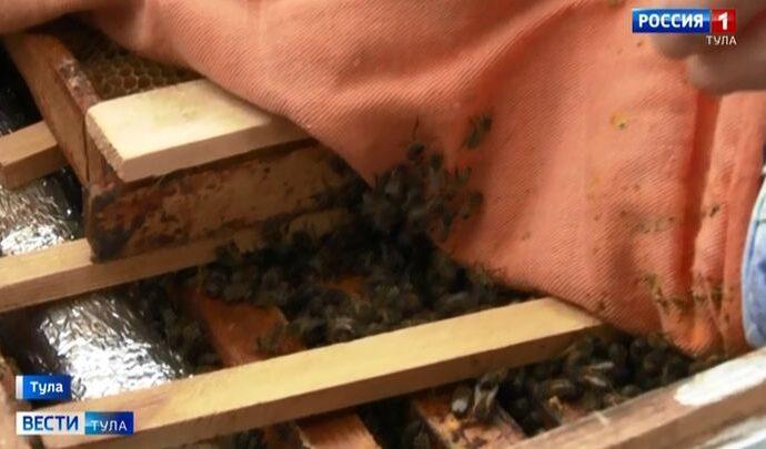 Пчеловоды готовятся будить пчёл после зимовки