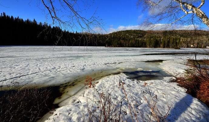 Погода в Туле на 28 февраля: переменная облачность и небольшое похолодание