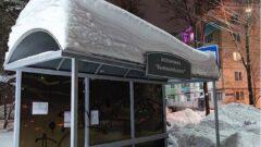 В Туле начали чистить крыши остановок от завалов снега
